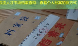 双流人才市场档案查询：查看个人档案的新方式