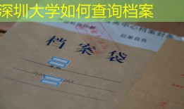 深圳大学如何查询档案