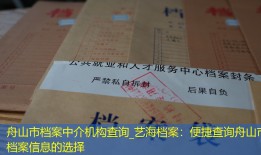 舟山市档案中介机构查询_艺海档案：便捷查询舟山市档案信息的选择
