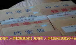 龙海市 人事档案查询网_龙海市 人事档案在线查询平台