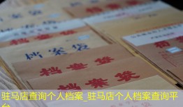 驻马店查询个人档案_驻马店个人档案查询平台