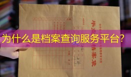 为什么是档案查询服务平台？