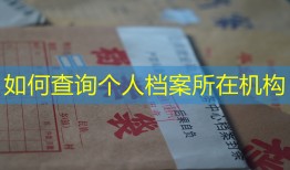 如何查询个人档案所在机构