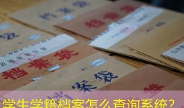 学生学籍档案怎么查询系统？