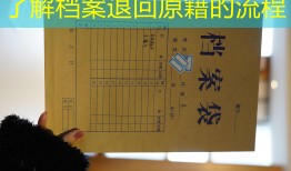 了解档案退回原籍的流程