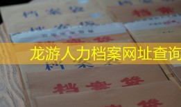 龙游人力档案网址查询