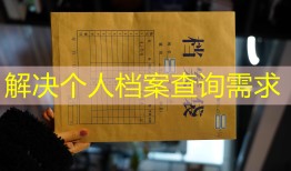 解决个人档案查询需求