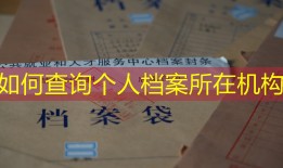 如何查询个人档案所在机构