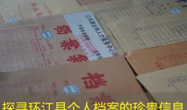探寻环江县个人档案的珍贵信息