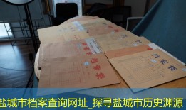 盐城市档案查询网址_探寻盐城市历史渊源