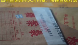 如何查询泉州人才档案：快速查找方法