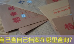 自己查自己档案在哪里查询？