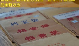 探寻武宁县中的历史瑰宝：查询武宁县档案的全新方法