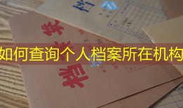如何查询个人档案所在机构