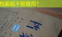 档案能不能查询？
