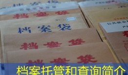 档案托管和查询简介