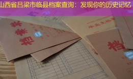 山西省吕梁市临县档案查询：发现你的历史记忆