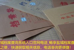 盐城档案查询系统入口官网电话_畅享盐城档案查询系统之便，快速获取相关信息，电话垂询更便捷！