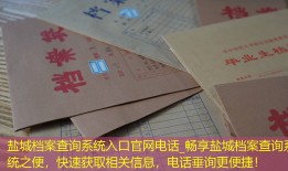 盐城档案查询系统入口官网电话_畅享盐城档案查询系统之便，快速获取相关信息，电话垂询更便捷！