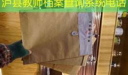 泸县教师档案查询系统电话