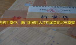 你的手掌中，厦门湖里区人才档案查询尽在掌握