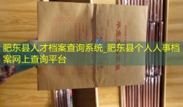 肥东县人才档案查询系统_肥东县个人人事档案网上查询平台