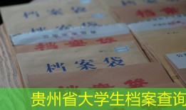贵州省大学生档案查询