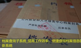 档案查询子系统_提高工作效率，便捷查询档案信息的新系统