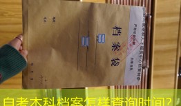 自考本科档案怎样查询时间？