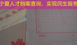 宁夏人才档案查询，实现民生服务