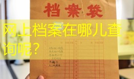 网上档案在哪儿查询呢？