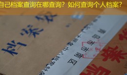 自己档案查询在哪查询？如何查询个人档案？
