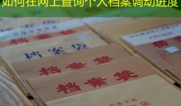 如何在网上查询个人档案调动进度