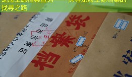 龙海生源档案查询——探寻龙海生源档案的找寻之路