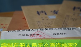 编制在册人员怎么查询档案？