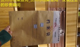贺州市档案查询_贺州市档案查阅：发现过去的珍贵瞬间