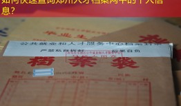 如何快速查询郑州人才档案网中的个人信息？
