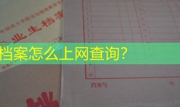 档案怎么上网查询？