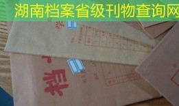 湖南档案省级刊物查询网