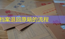 档案退回原籍的流程