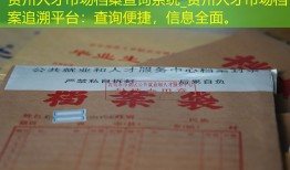 贵州人才市场档案查询系统_贵州人才市场档案追溯平台：查询便捷，信息全面。