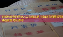 盐城档案查询系统入口在哪儿啊_你知道在哪里找到盐城档案查询系统吗？