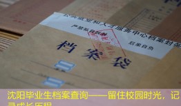 沈阳毕业生档案查询——留住校园时光，记录成长历程