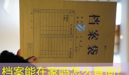 档案能在家吗怎么查询？