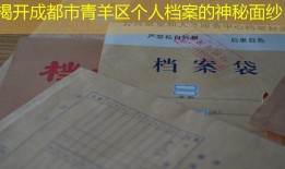 揭开成都市青羊区个人档案的神秘面纱