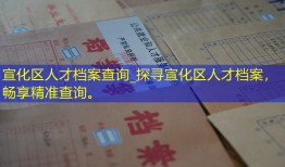 宣化区人才档案查询_探寻宣化区人才档案，畅享精准查询。