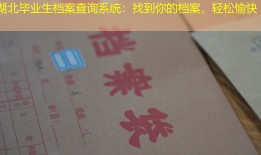 湖北毕业生档案查询系统：找到你的档案，轻松愉快