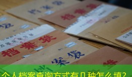 个人档案查询方式有几种怎么填？