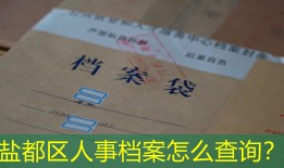 盐都区人事档案怎么查询？