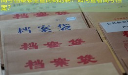 高考档案哪里查询到的啊？如何查看高考档案？